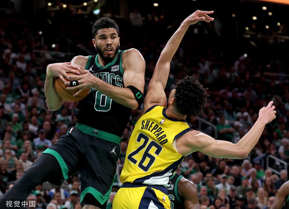 情感的寄托 情感的寄托